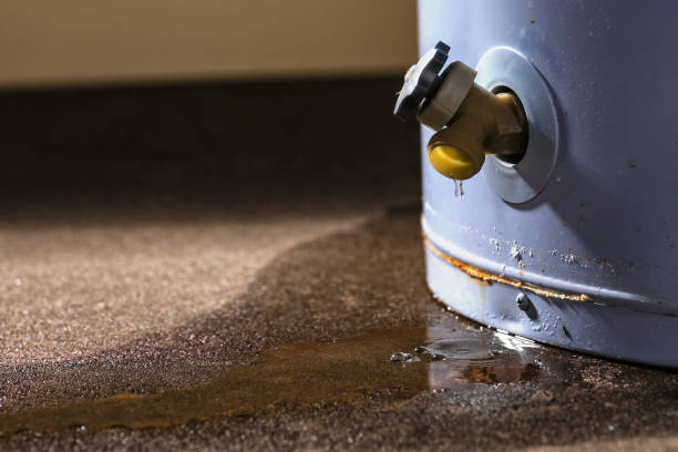 Best Sewage cleanup and water damage restoration  in Heathrow, FL