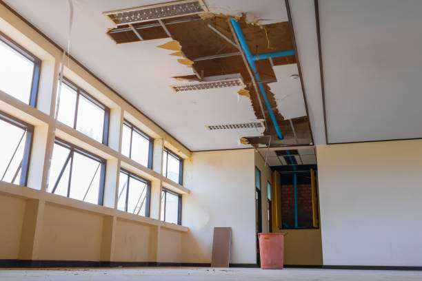 Best Flooded house restoration  in Heathrow, FL
