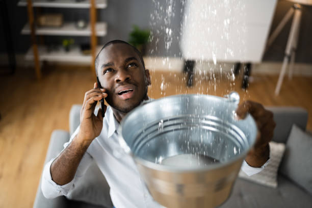 Best Flood damage cleanup  in Heathrow, FL