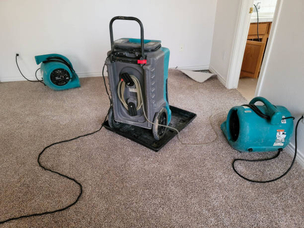 Best Water damage cleanup near me  in Heathrow, FL