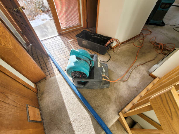 Best Water damage restoration company  in Heathrow, FL
