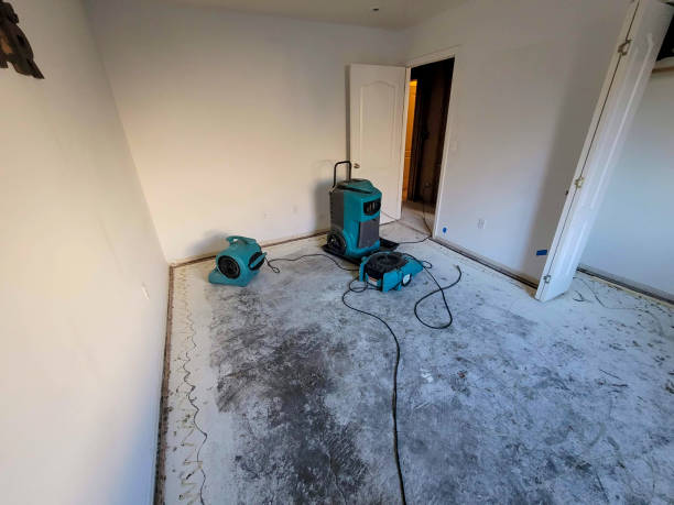 Best Flood restoration services  in Heathrow, FL