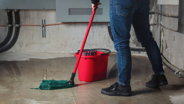 Best Water damage contractors near me  in Heathrow, FL