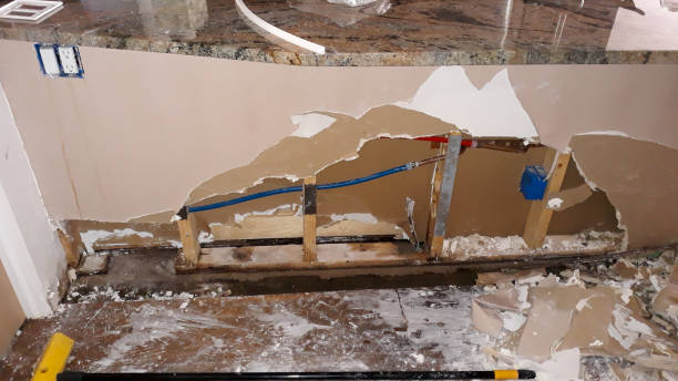 Best Ceiling water damage repair  in Heathrow, FL
