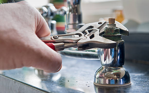 Best Flood damage cleanup  in Heathrow, FL