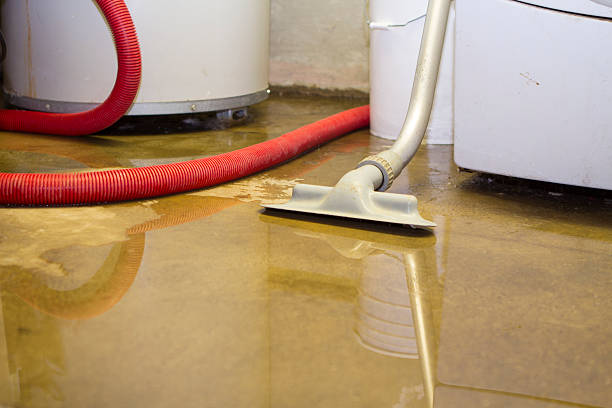 Best Flood restoration services  in Heathrow, FL