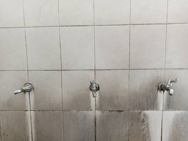 Best Water damage contractors near me  in Heathrow, FL