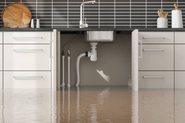 , FL Water damage restoration Company