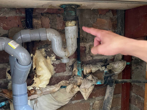 Water damage restoration experts in FL