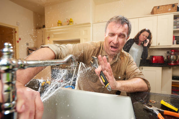 Best Professional water damage repair  in Heathrow, FL
